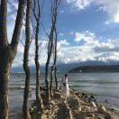 手机用户2806_4cva