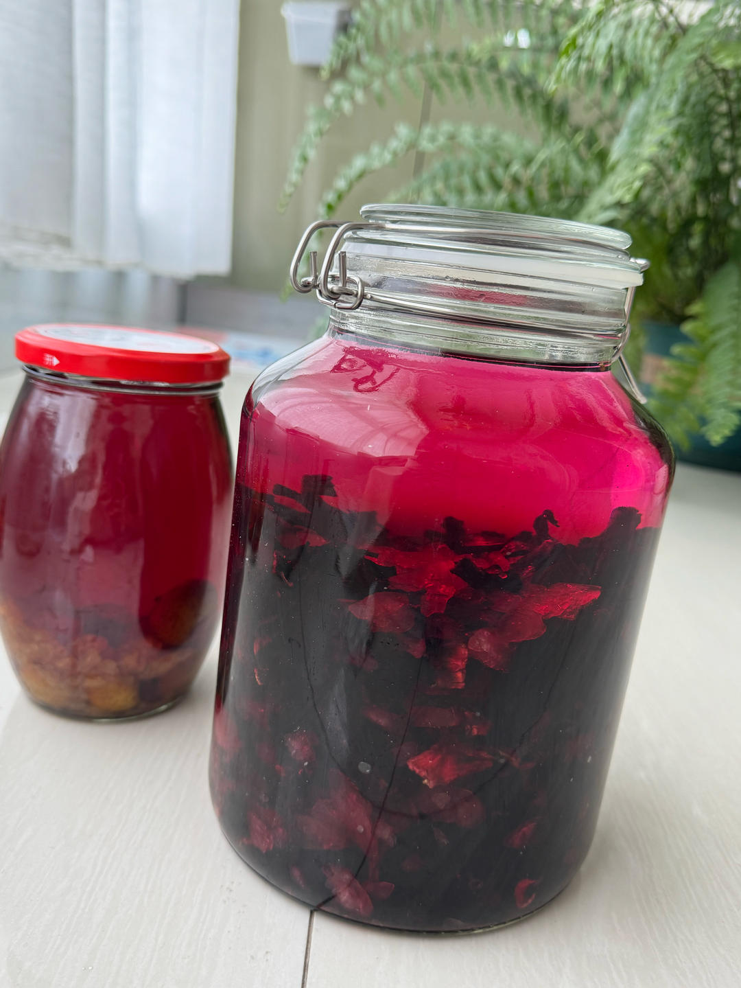 洛神花（红桃k）泡酒