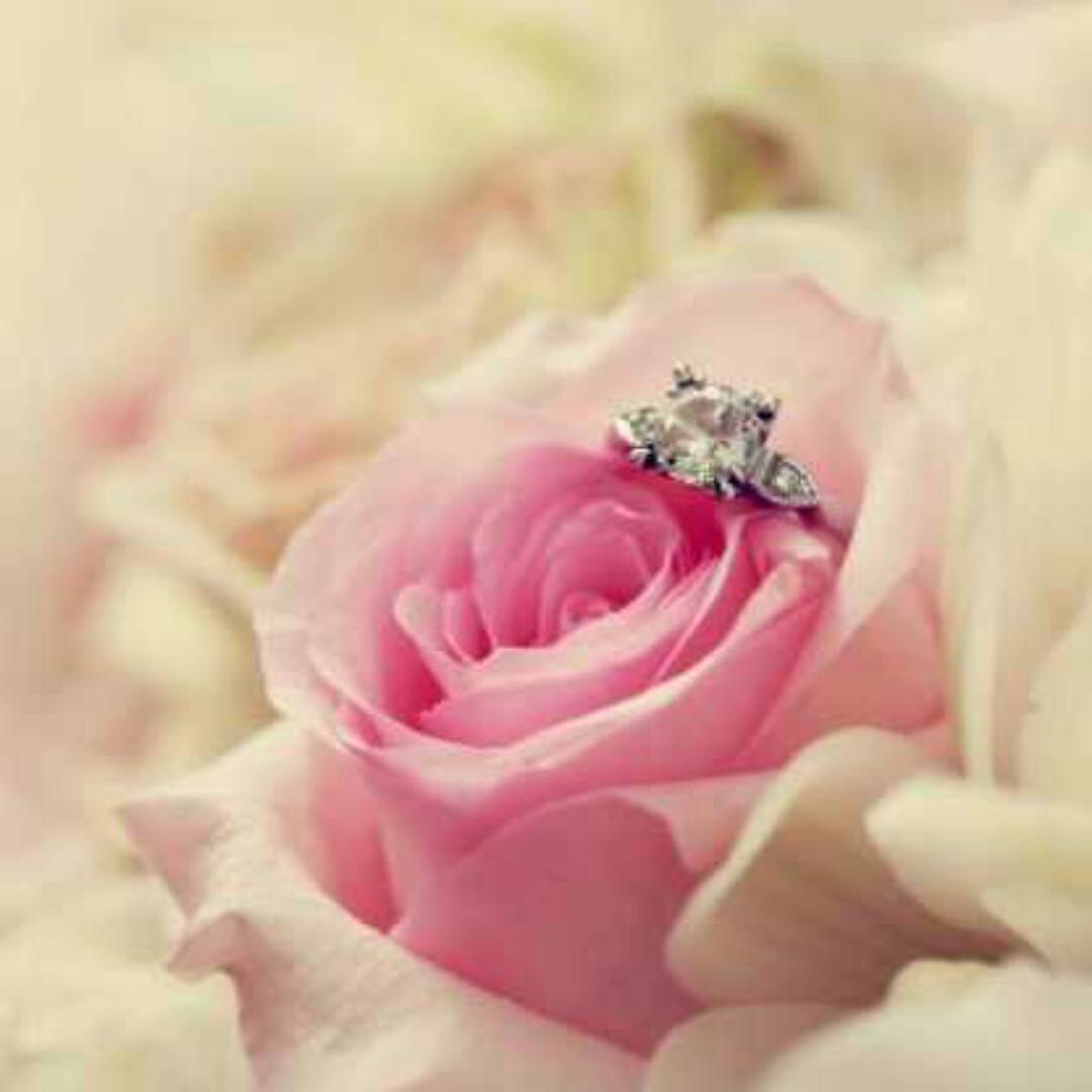 美熊猫爱喝可乐