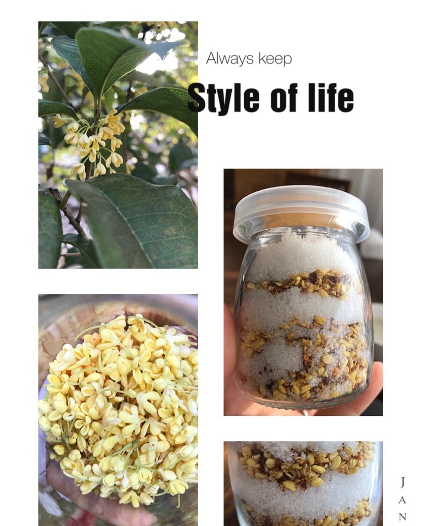 自制桂花蜜酱