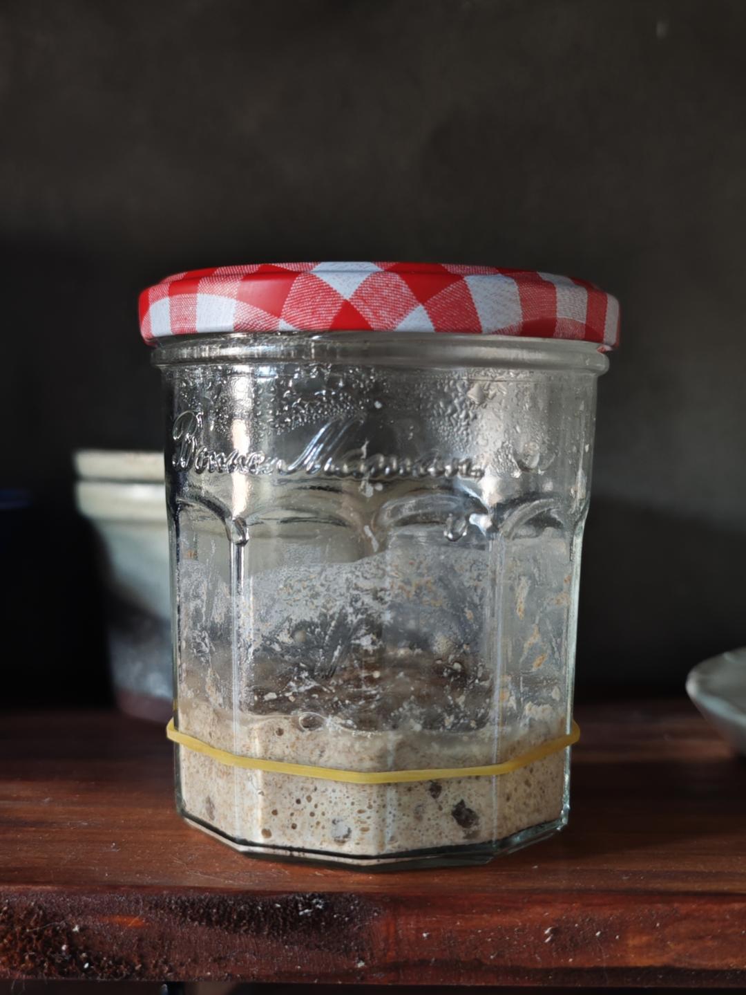 天然酵母鲁邦种培养日记（全麦面粉）成功