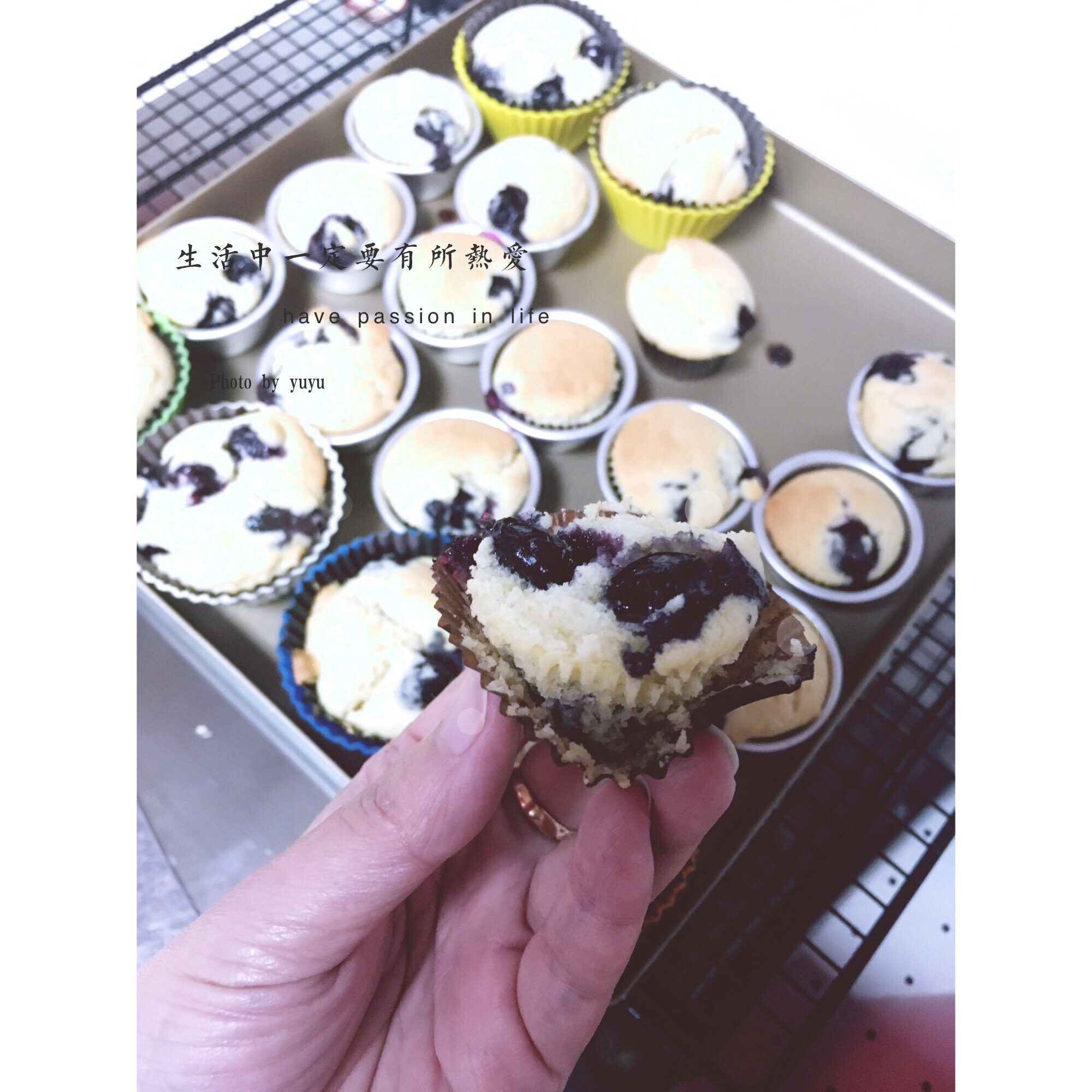 蓝莓玛芬蛋糕 Blueberry Muffin