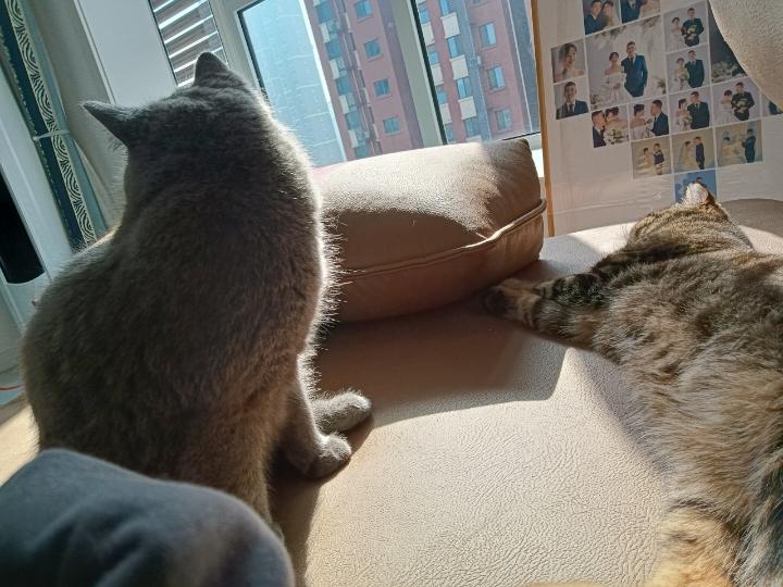 拥有小期待
