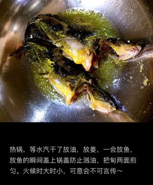 昂刺鱼豆腐汤的做法 步骤2