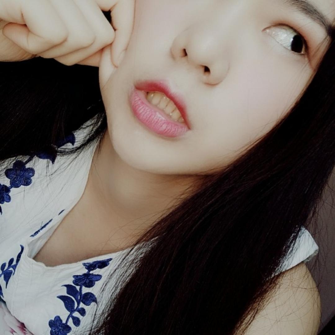 会飞的胖猪