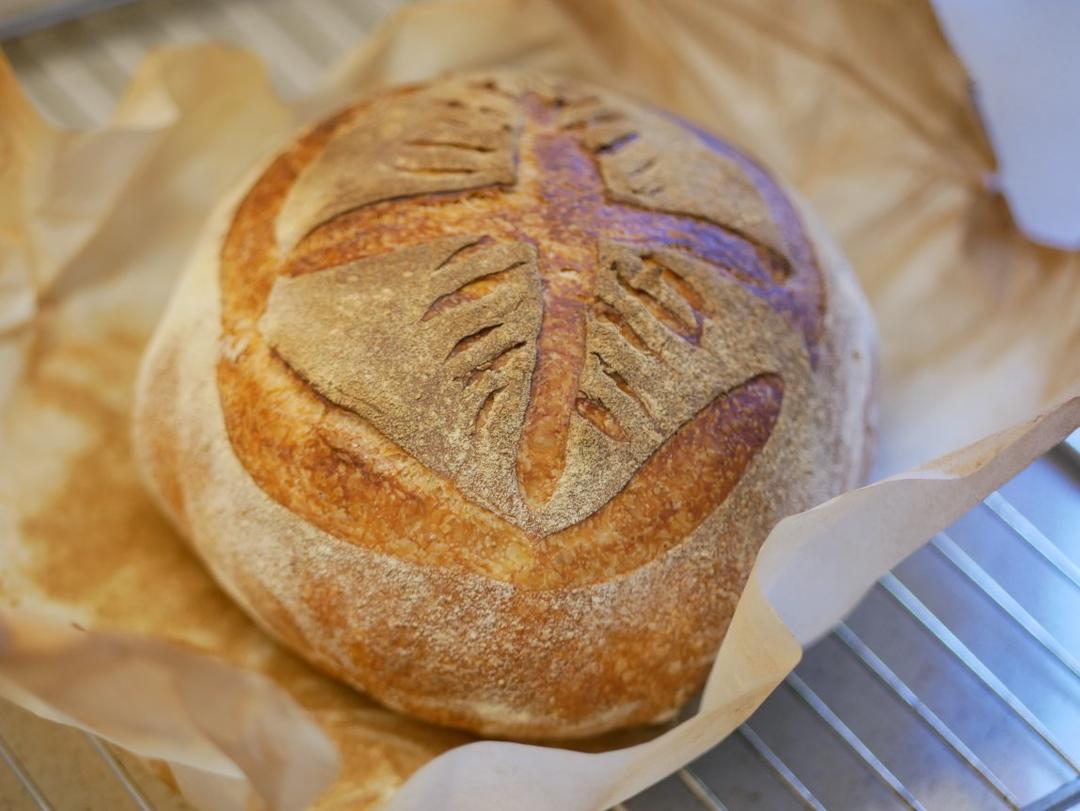 ciabatta bread夏巴塔拖鞋面包