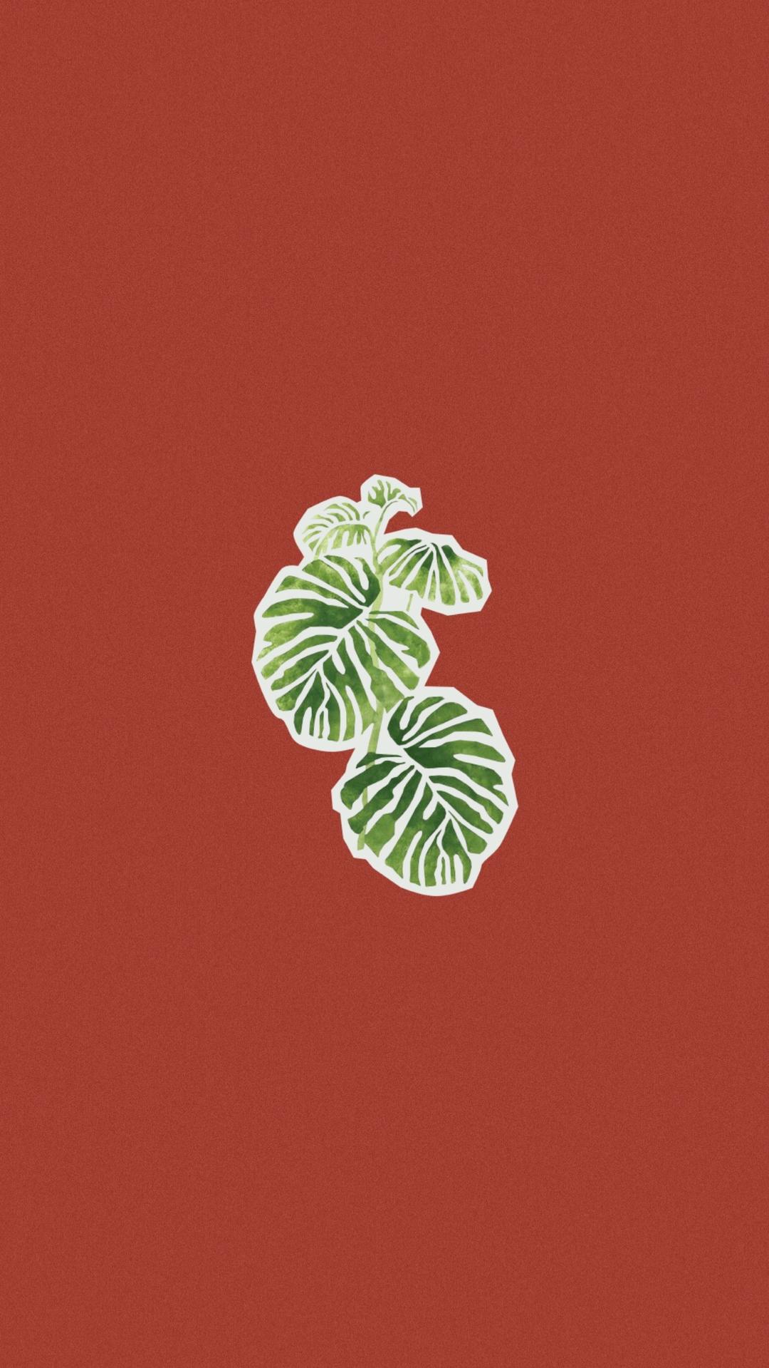 10分钟出膜吐司（无面包机快手版）