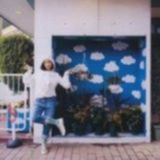 林去风