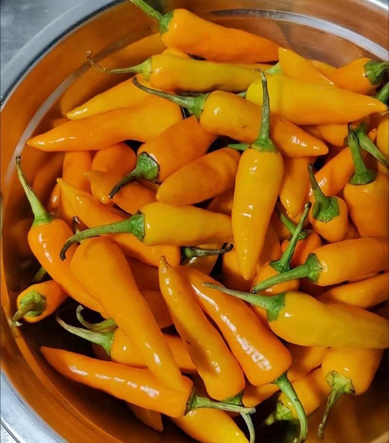 黄椒酱汁