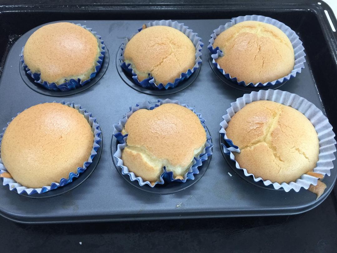 北海道戚风杯子蛋糕