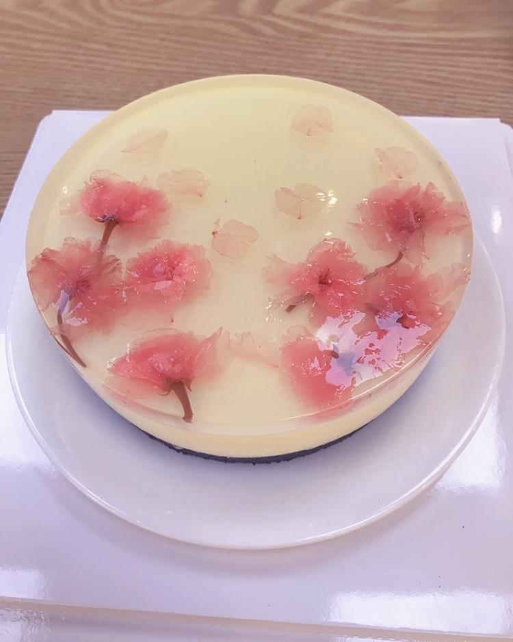 酸奶冻芝士蛋糕