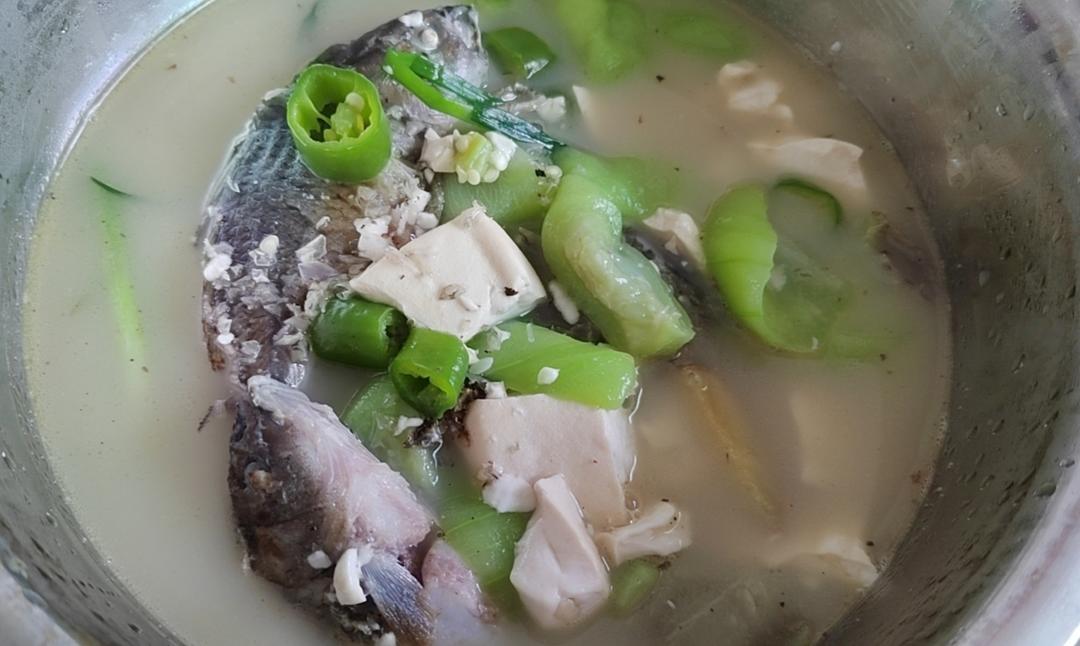 鲫鱼汤(鲫鱼豆腐汤)