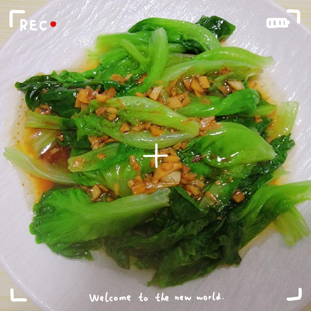 蒜蓉生菜苗