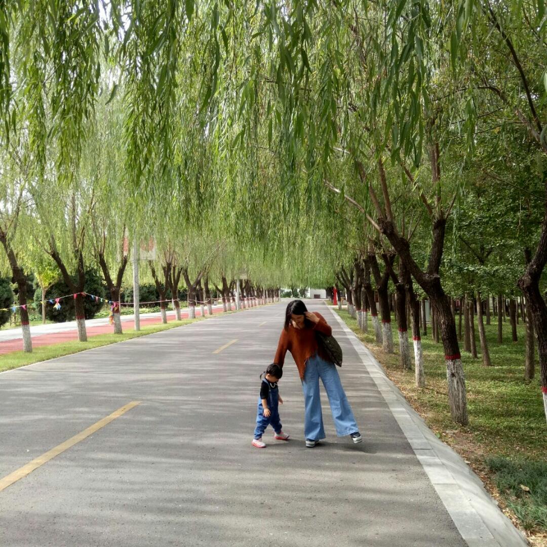 懒嘟嘟的傻兮兮