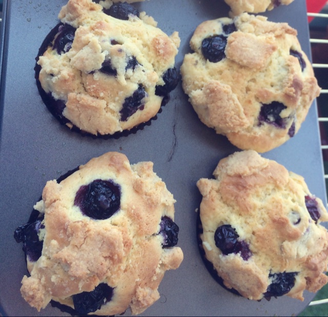 PH大师的金宝顶蓝莓马芬