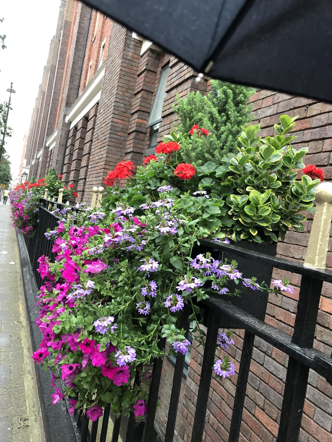 旅行中吃了什么🌸