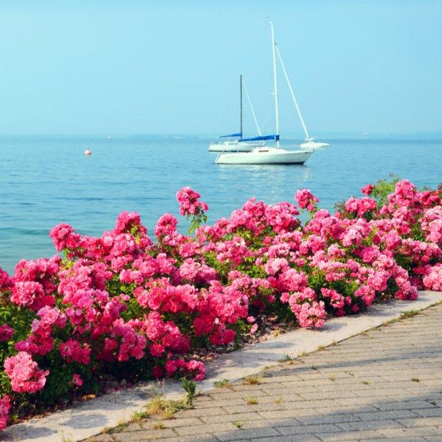 姚雪平15951231625订做羊绒衫