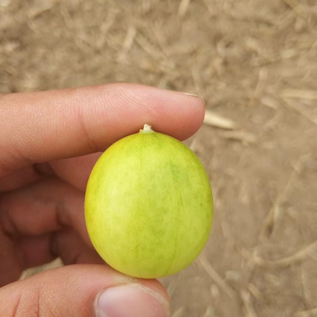 做菜不好吃怎么办