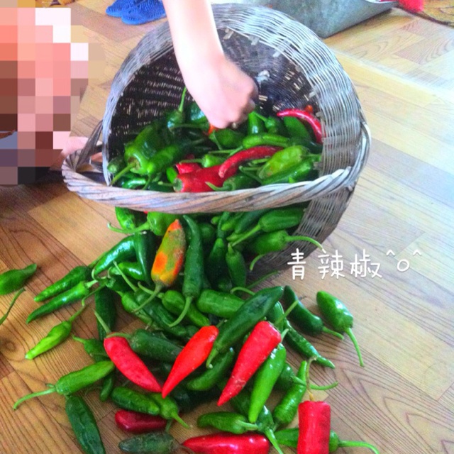 杂记杂记