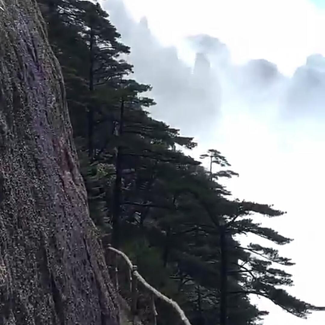 越来越好吃了的厨房