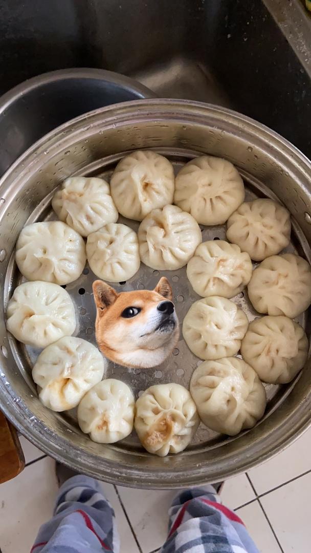 美味肉包子(超详细)