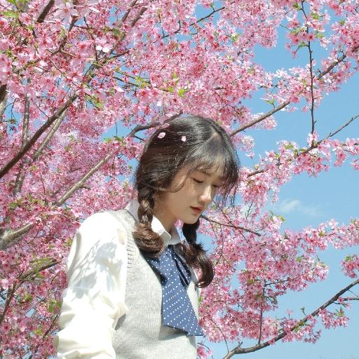 蛋黄妹砸