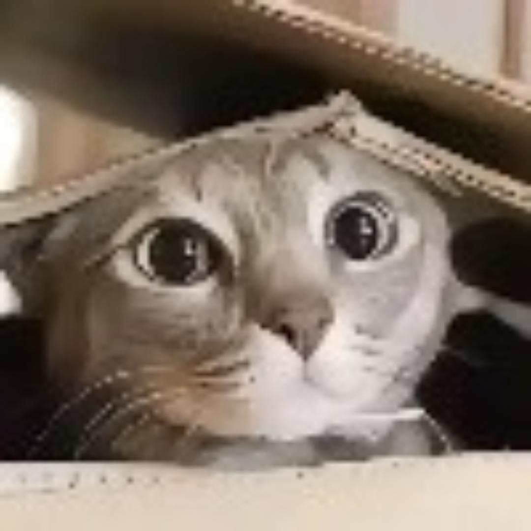 别再写适量了