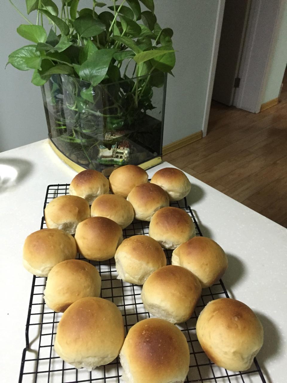 咖啡巧克力软包