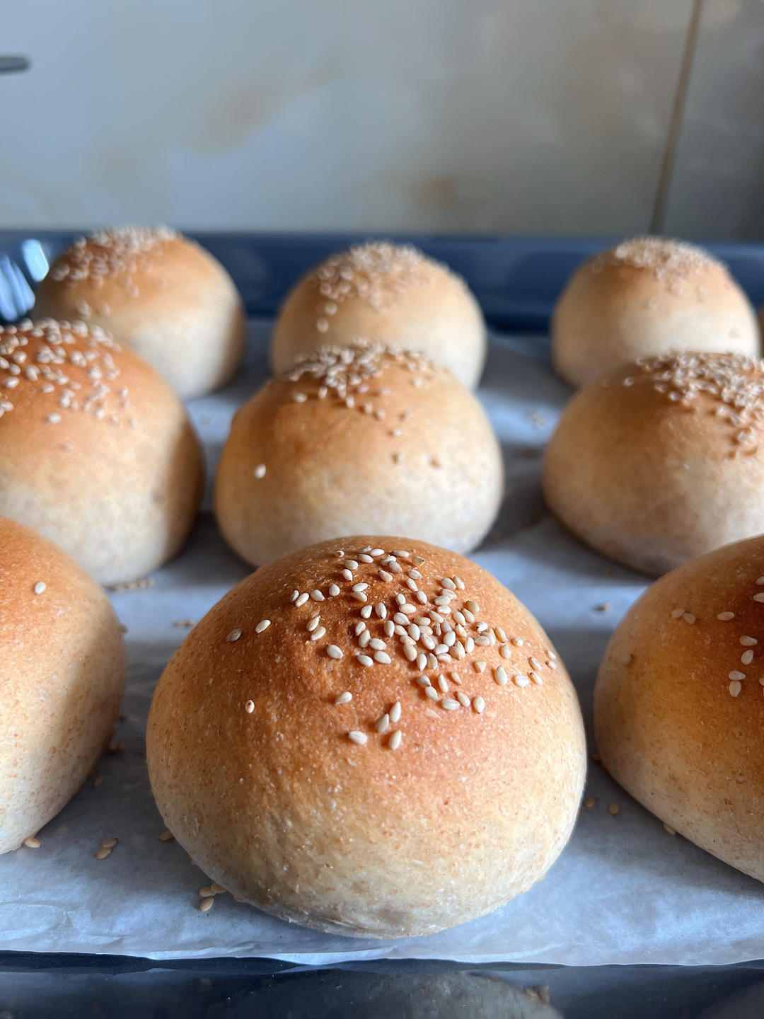 波兰种全麦汉堡胚（植物油版）