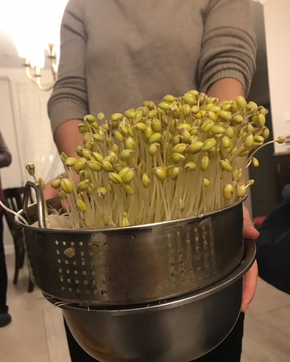 自己在家发豆芽