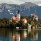 提拉米苏爱烘焙