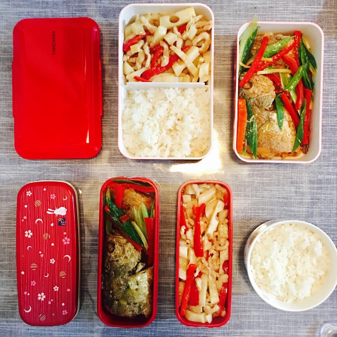 每日便当🍱（持续更新）