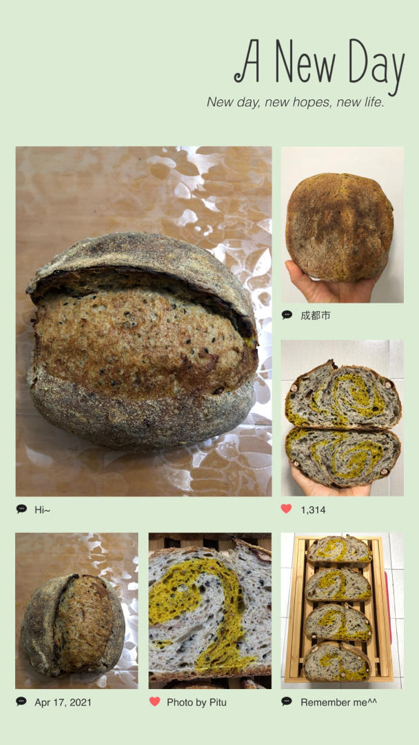 好吃到飞起-天然酵母姜黄肉桂提子双色欧包（手揉法-超详细）