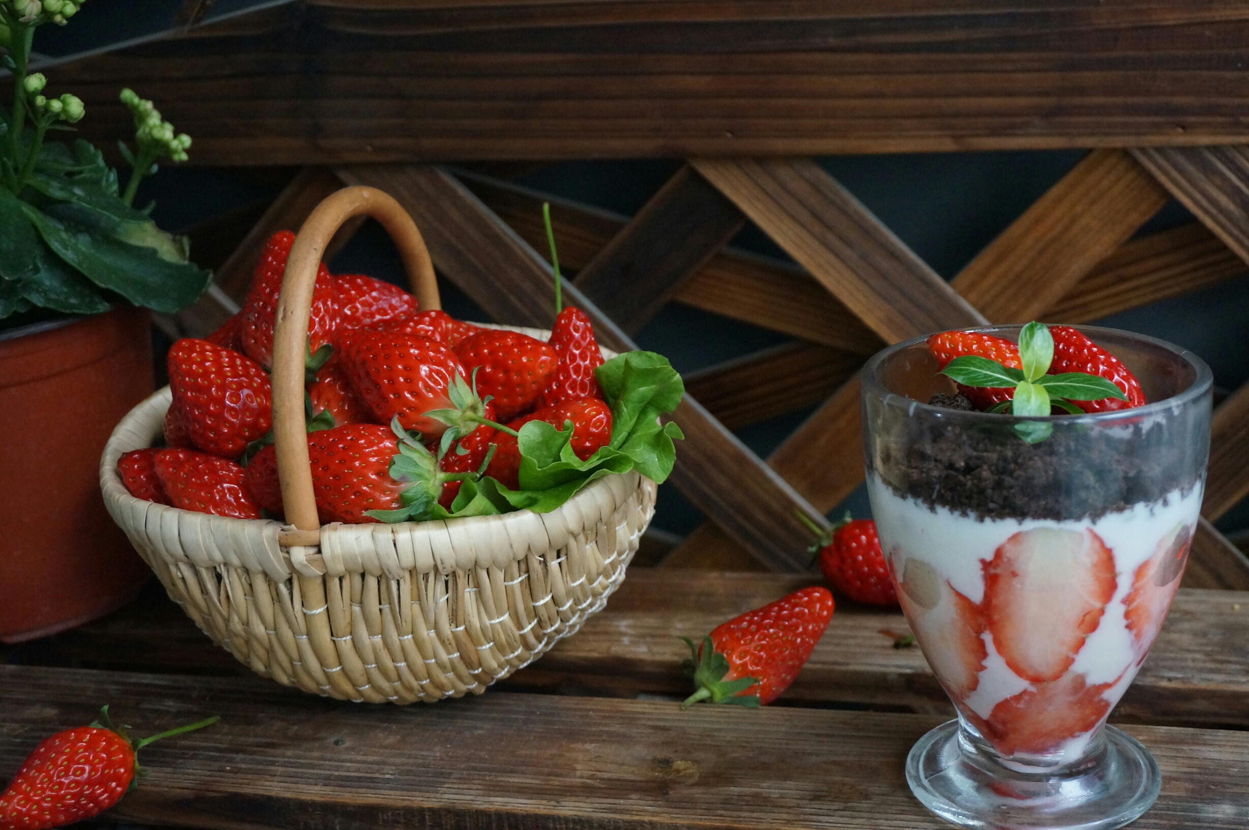 草莓酸奶盆栽的做法