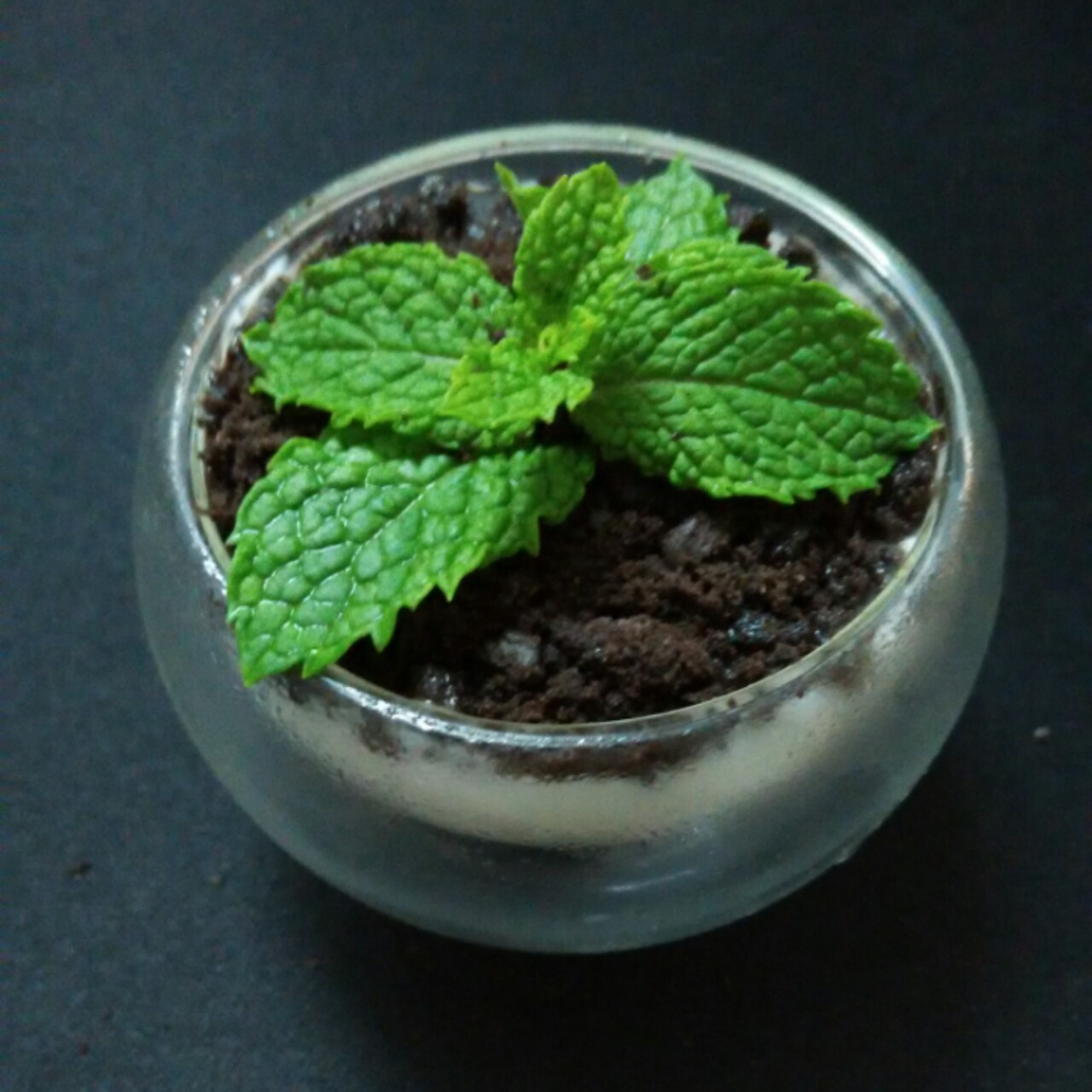 盆栽酸奶