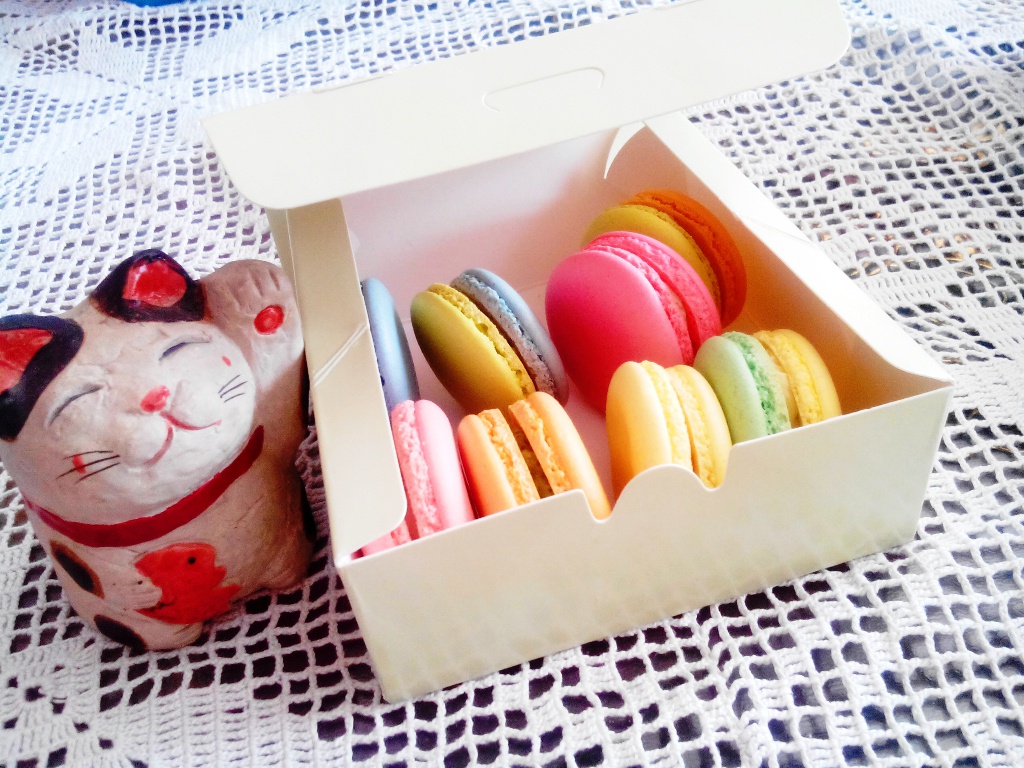 我的马卡龙日记