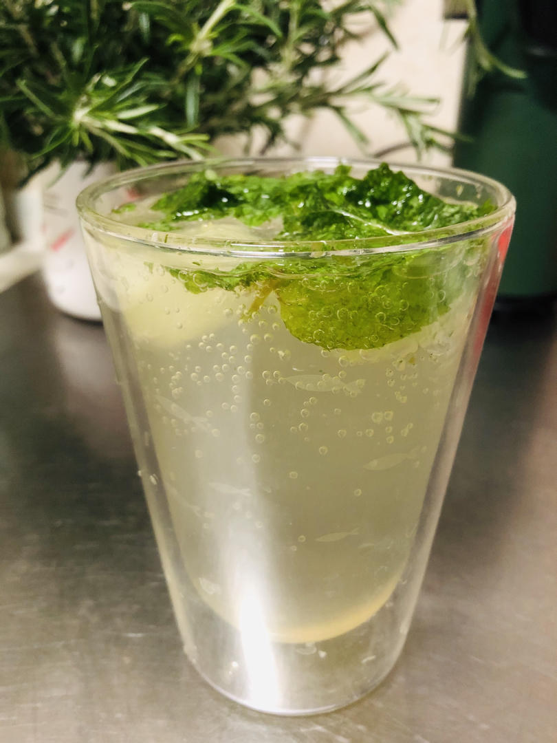 柠檬薄荷苏打水