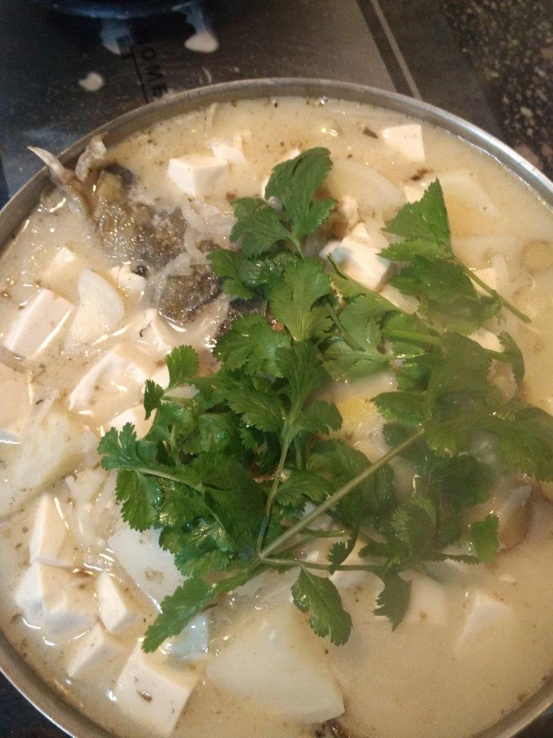 鱼头豆腐煲