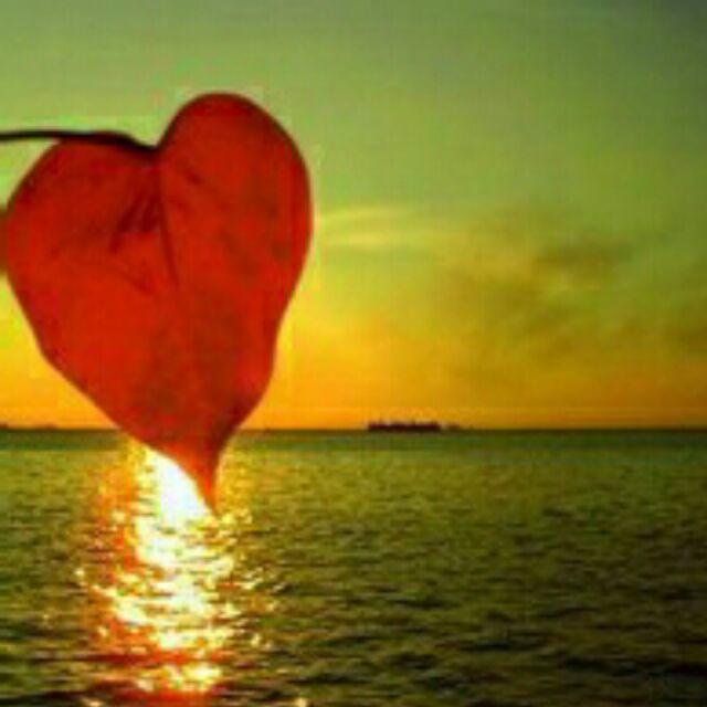 手机用户8387_3zms