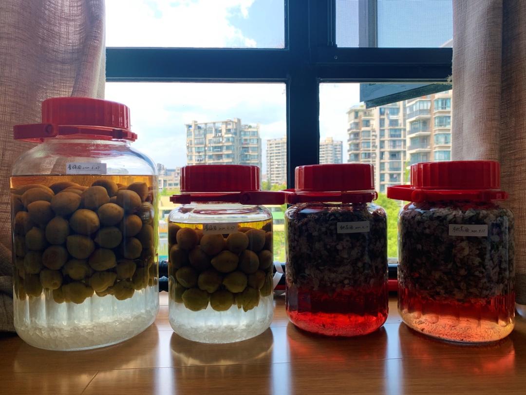 【青梅酒】梅子的沉醉时光（已填坑）