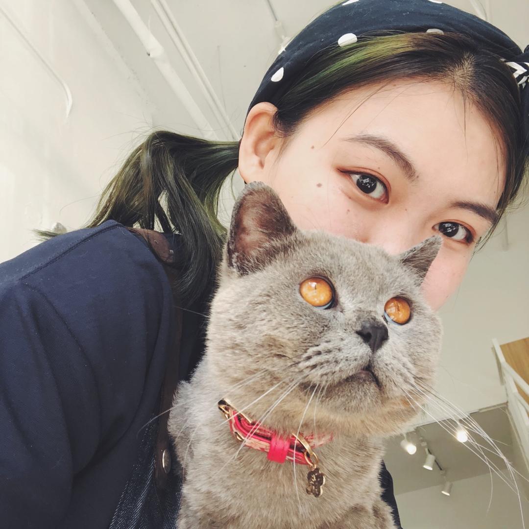 青猫cyancat