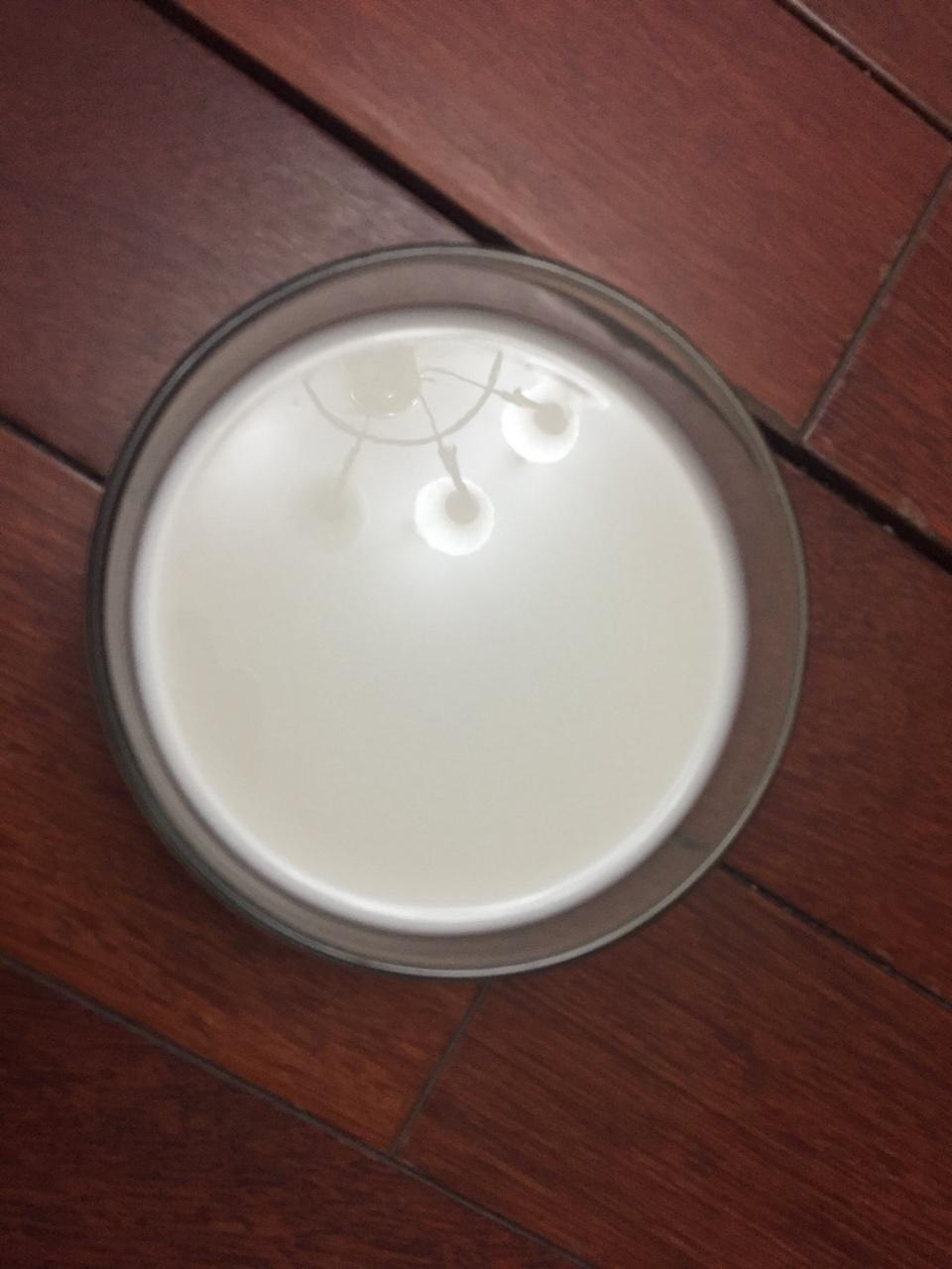 不用酸奶机 自制酸奶