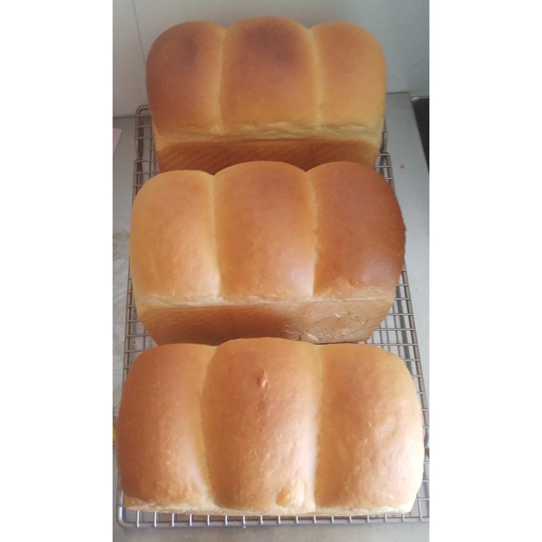 【北海道吐司】体验经典-妃娟100%中种，冷藏冰种的美味