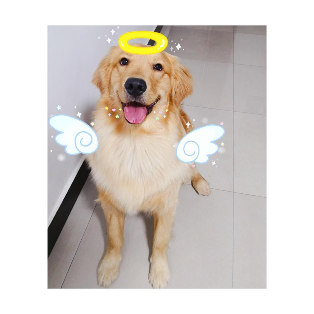 米大米姐姐的厨房