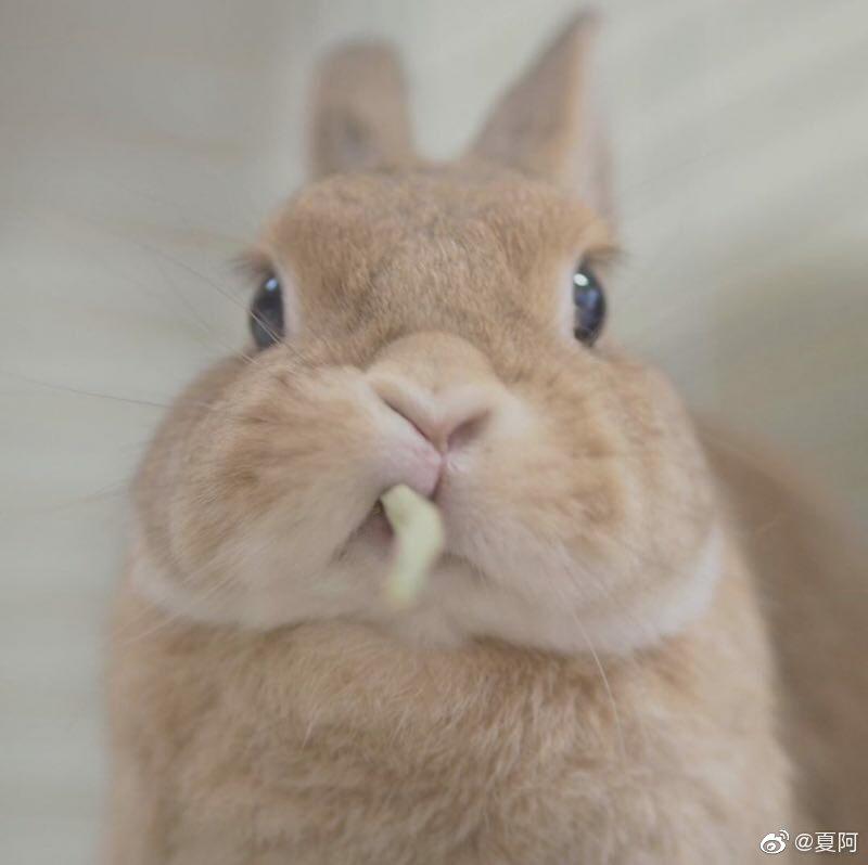 黑暗料理们的做法