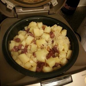 电饭煲土豆火腿焖饭的做法 步骤8