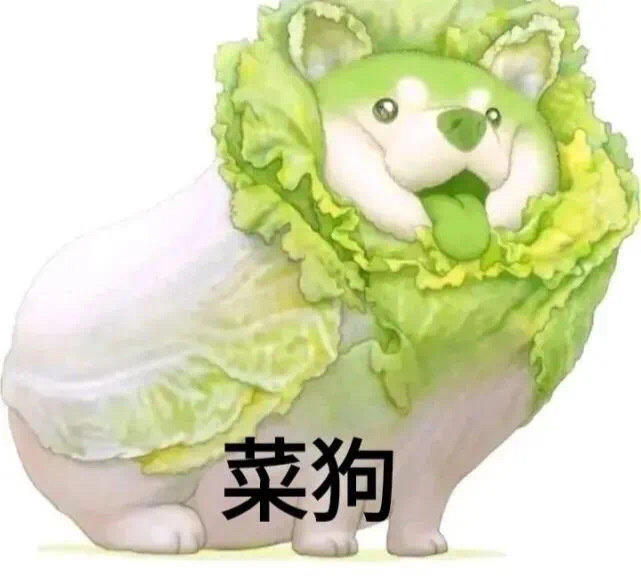 【蚝油生菜】★粤菜/下饭菜/快手菜/拿手菜