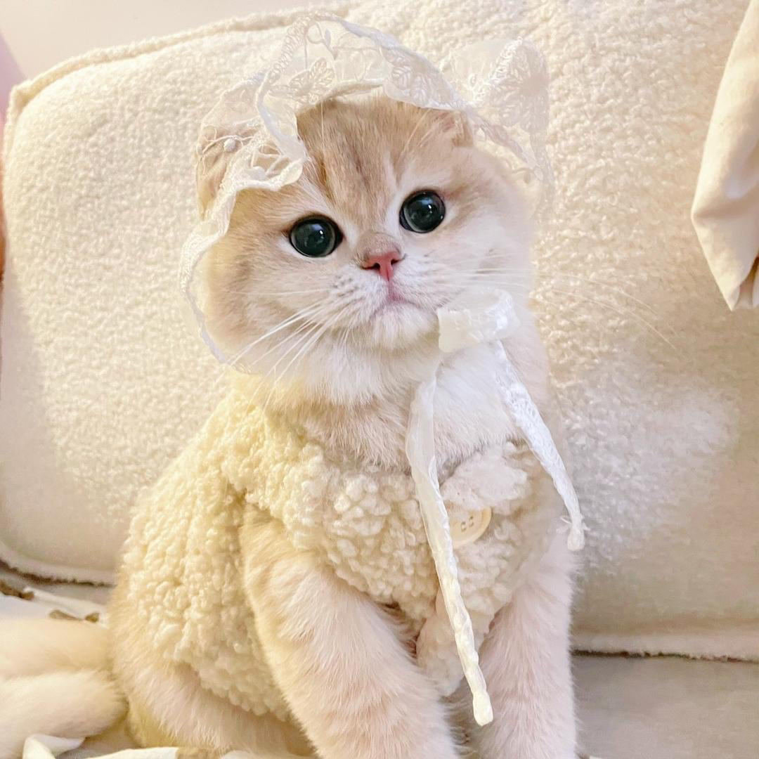 下厨房用户_6vzt