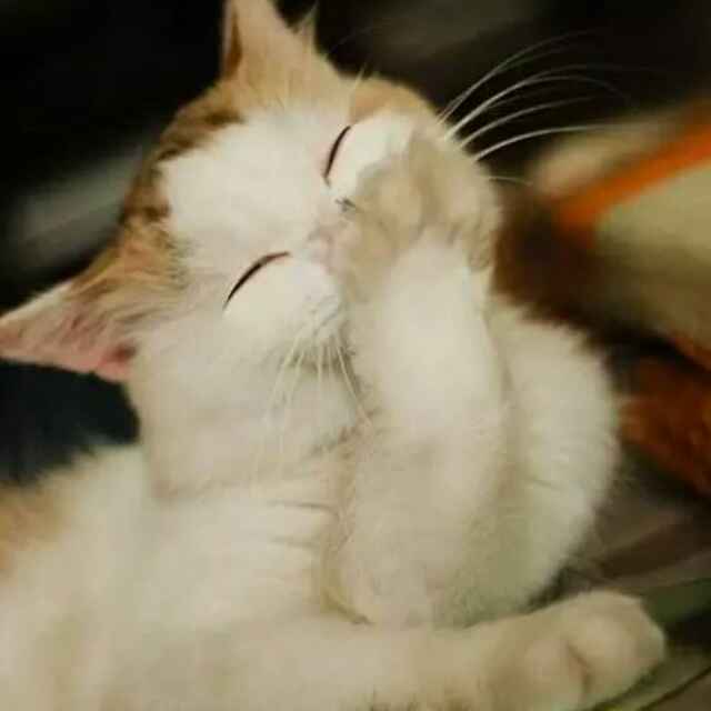 映同