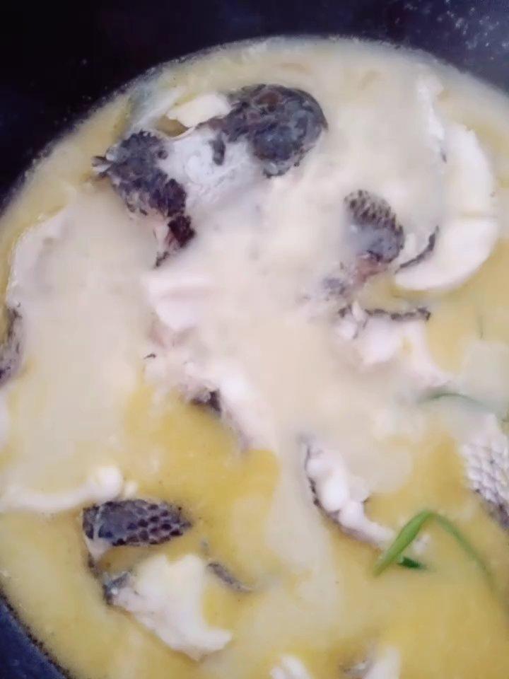 术后必备黑鱼汤